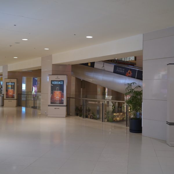 DSC01254